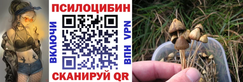 omg ONION  Нариманов  Галлюциногенные грибы Magic Shrooms  как найти закладки 